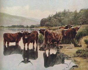 Schottland, um 1930er
