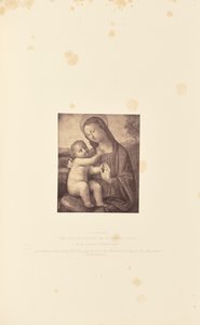 Die Jungfrau und das Kind, von Filippino Lippi