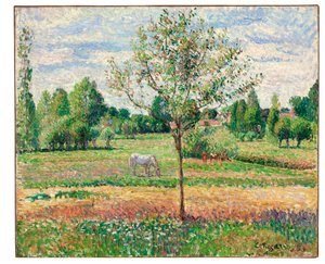 Wiese mit grauem Pferd, Eragny, 1893 von Camille Jacob Pissarro