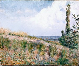 Landschaft
