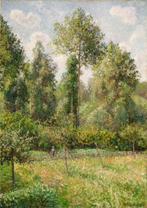 Pappeln, Éragny von Camille Jacob Pissarro