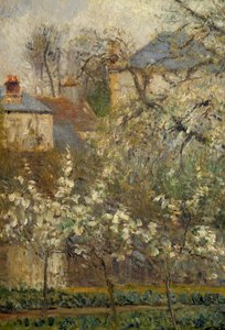 Gemüsegarten und blühende Bäume im Frühling in Pontoise von Camille Jacob Pissarro