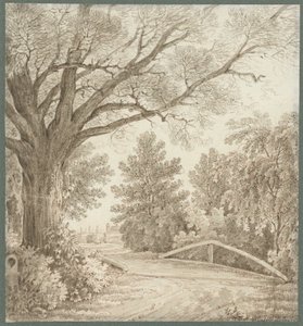 Landweg über einfache Brücke bei schwerem Baum