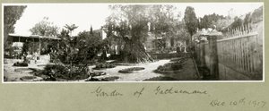 Garten von Gethsemane, 14. Dezember 1917 von Capt. Arthur Rhodes