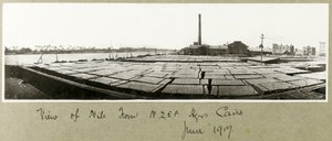 Blick auf den Nil vom N.Z.M.F.A. Hauptquartier, Kairo, Juni 1917 von Capt. Arthur Rhodes