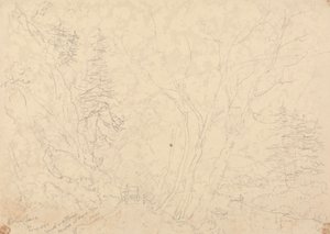 Holne Chase, 30. Mai 1833 von Capt. Thomas Hastings