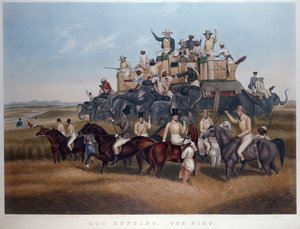 Schweinejagd: Der Fund, graviert und veröffentlicht von Messrs Fores, ca. 1840 von Captain John (after) Platt