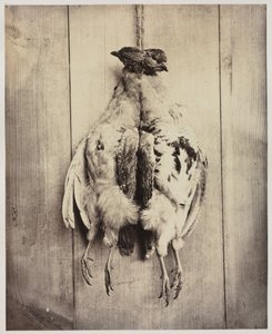 Rebhühner recto, L.D. Campbells Grabmal verso, ca. 1861 von Captain N. Baily