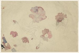Blumenstudien in Lila und Rosa von Carel Adolph Lion Cachet