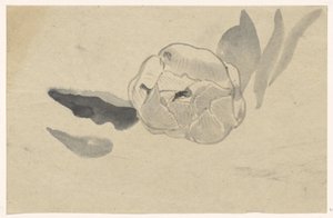 Blumenstudie