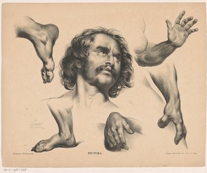 Kopf eines Mannes, Füße, Hände und Arme von Carel Christiaan Antony Last