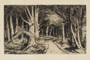Waldweg