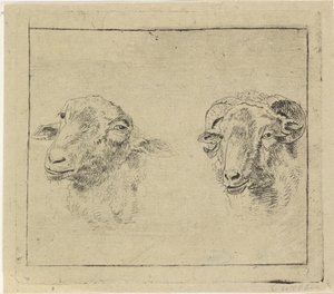 Kopf eines Widders und Kopf eines Schafes von Carel Webbers