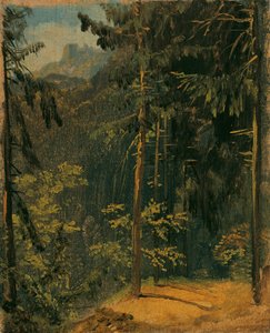 Waldweg im Harz von Carl Blechen