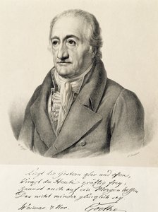 Porträt von Johann Wolfgang von Goethe von Carl Christian Vogel von Vogelstein