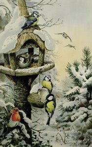 Wintervogeltisch mit Blaumeisen, Kohlmeisen, Haussperlingen und einem Rotkehlchen