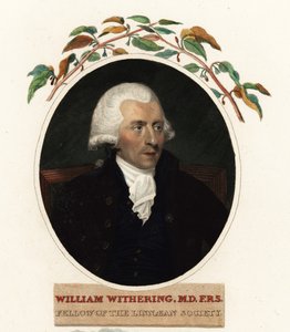 Porträt von William Withering, Arzt und Botaniker von Carl Frederik van (after) Breda