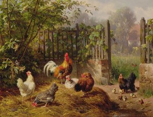 Hahn mit Hennen und Küken