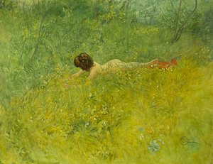 Im Gras