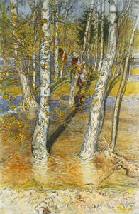 Frühlingsflut, 1902