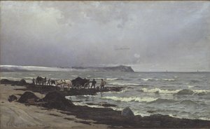 Tang wird am Strand von Hornbæk verladen von Carl Locher