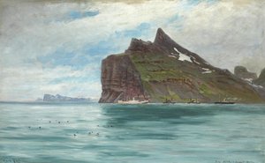 Blick vom Kap Nord, Island, von der königlichen dänischen Reise 1907 mit dem Dampfschiff SS Birma von Carl Locher