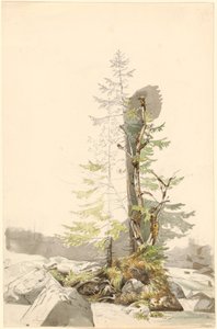 Eine Baumgruppe an einem felsigen Bach in der Ramsau von Carl Morgenstern