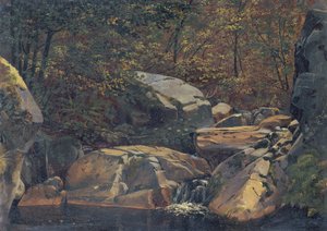 Waldbach (Wasserfall zwischen Felsblöcken) von Carl Morgenstern