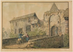 Ruine der Tiefburg in Handschuhsheim