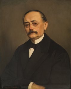 Der Minister Leopold Ritter Hasner von Artha