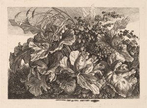 Laubstudie mit Schilf und Hopfen von Carl Wilhelm Kolbe