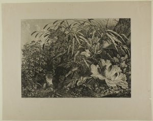 Kuh, die in einem Sumpf steht von Carl Wilhelm Kolbe, the elder