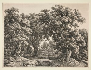 Waldlandschaft von Carl Wilhelm Kolbe the elder