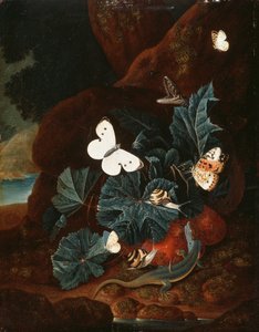 Stillleben auf Waldboden mit Eidechse, Schmetterlingen, Schnecke und Schlange