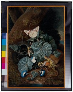 Waldboden-Stillleben mit Schnecken, Schlangen, Eidechsen und Schmetterlingen