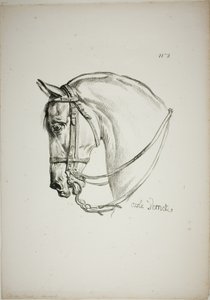 Detail (Pferdekopf, vergrößert auf dreifache Größe, Normannische Königswache, Nr. 2) von Carle Vernet