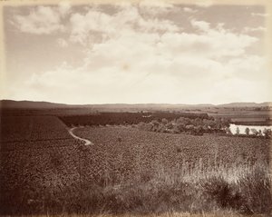 Lake Vineyard und Orangenhain, Los Angeles