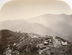 Die Stadt auf dem Hügel, New Almaden von Carleton Emmons Watkins