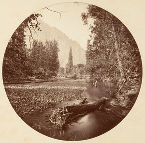 [Yosemite-Nationalpark, Kalifornien]