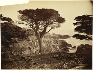  von Carleton Watkins
