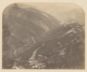 Josephine und Kiefer von Carleton Watkins