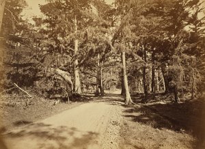 Monterey, Kalifornien. Moss Avenue, 18 Mile Drive.