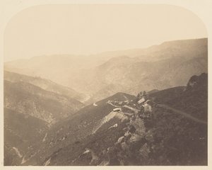 [Pine Tree Mine] von Carleton Watkins