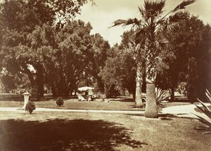 Thurlow Lodge - Zelt und Familiengruppe