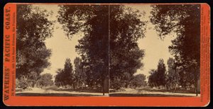 Baumgesäumte Straßenansicht von San Gabriel, Kalifornien von Carleton Watkins
