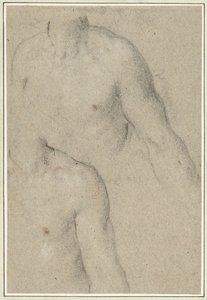 Zwei Studien des Torsos eines jungen Mannes von Carlo Caliari