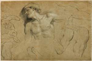 Studien von Händen, Schultern und einem Bein von Carlo Cignani