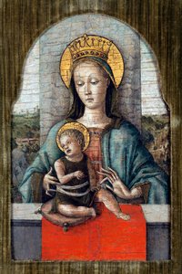 Die Jungfrau und das Kind - Carlo Crivelli von Carlo Crivelli
