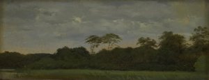 Eine Wiese an einem Waldsee von Carlo Dalgas