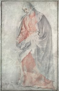 Ein Apostel